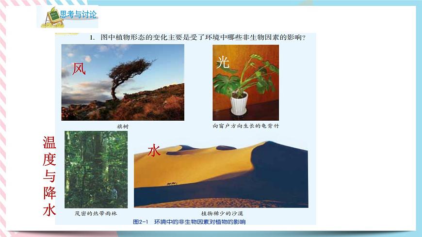ZJ版九下2.1生物與環(huán)境的相互作用第6頁