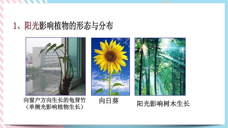 ZJ版九下2.1生物與環(huán)境的相互作用第8頁