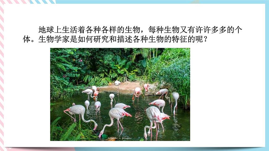 ZJ版九下2.2種群第3頁