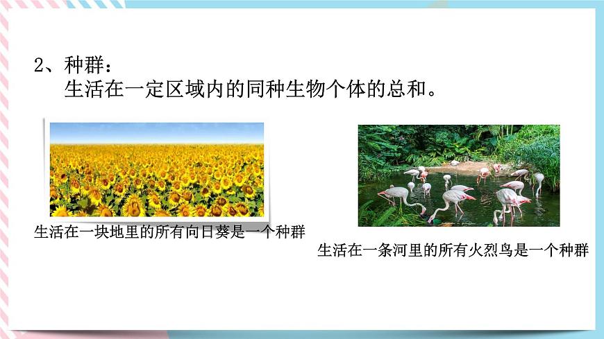 ZJ版九下2.2種群第5頁