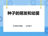 第七章第二节种子的萌发和幼苗形成 第1课时（课件+教案+练习+视频）
