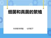 第七章第四節(jié)細(xì)菌和真菌的繁殖（課件+教案+練習(xí)+視頻）