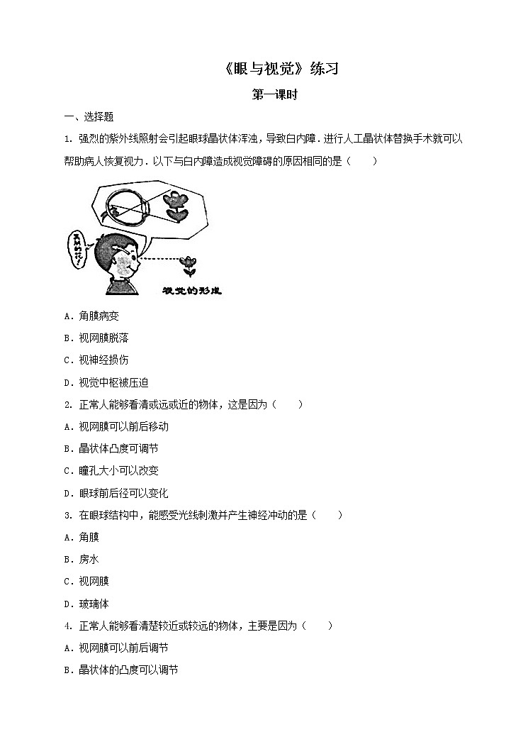 第3章第1课 眼与视觉第一课时(课件+教案+练习+视频)01