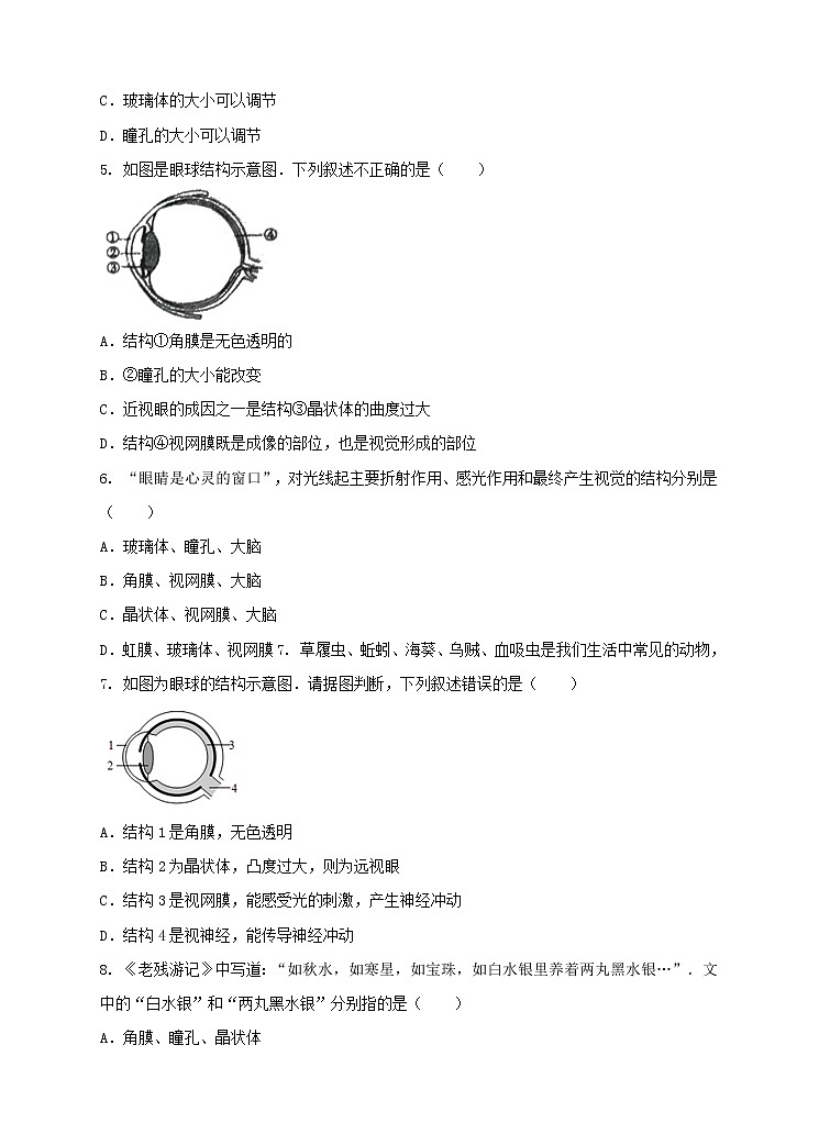 第3章第1课 眼与视觉第一课时(课件+教案+练习+视频)02
