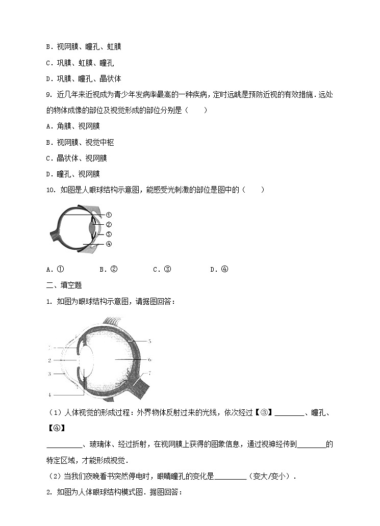 第3章第1课 眼与视觉第一课时(课件+教案+练习+视频)03