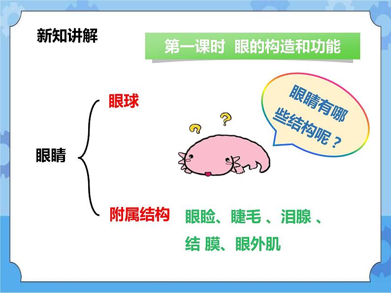第3章第1课 眼与视觉第一课时(课件+教案+练习+视频)04