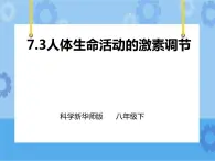 第7章第3節(jié)人體生命活動的激素調(diào)節(jié)（課件+教案+練習(xí)+視頻）