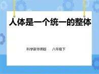 第7章第4節(jié)人體是一個統(tǒng)一的整體（課件+教案+練習(xí)+視頻）