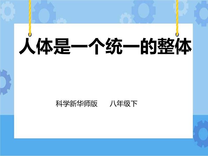 第7章第4节人体是一个统一的整体(课件+教案+练习+视频)01