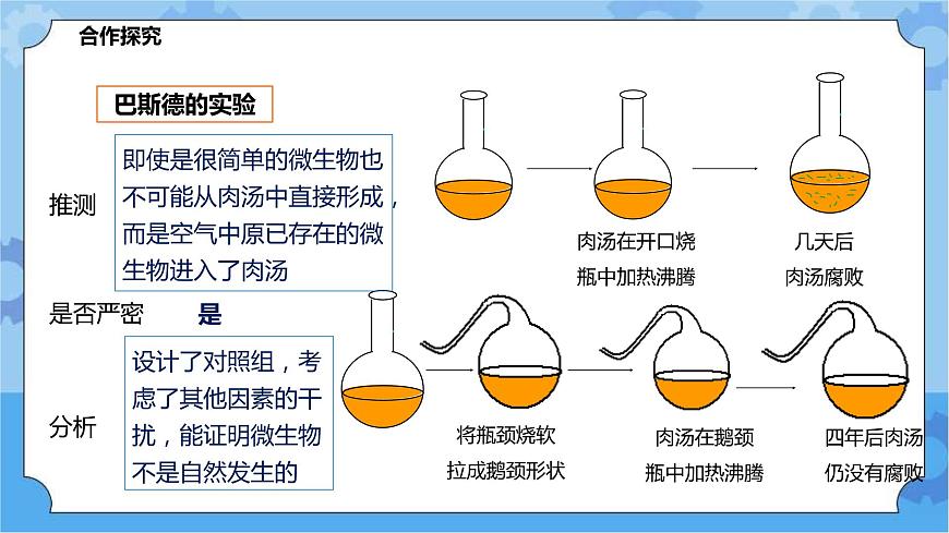 華師大九年級(jí)科學(xué)下冊(cè)第2章第2節(jié)生命起源 課件第6頁