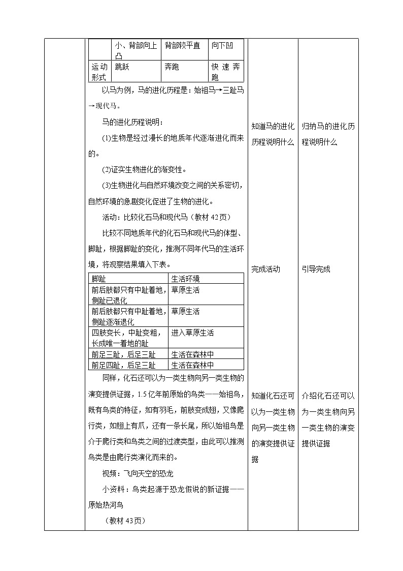 2.3.1生物进化(课件+教案+导学案)02