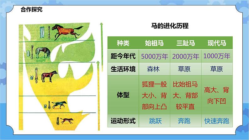 2.3.1生物进化(课件+教案+导学案)04