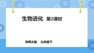 华师大版九年级下册3 生物进化精品ppt课件