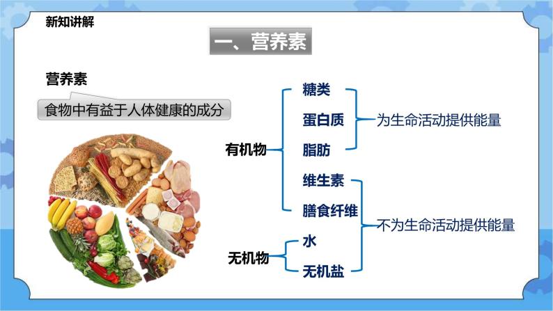 4.4营养与健康（课件+教案+导学案）04