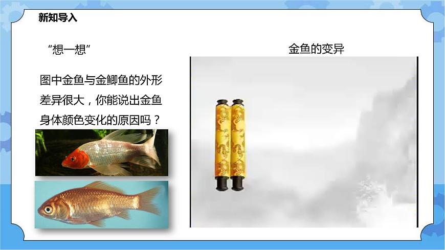 華師大九年級(jí)科學(xué)下冊(cè)第5章第2節(jié)生物的變異 第1課時(shí) 課件第2頁(yè)