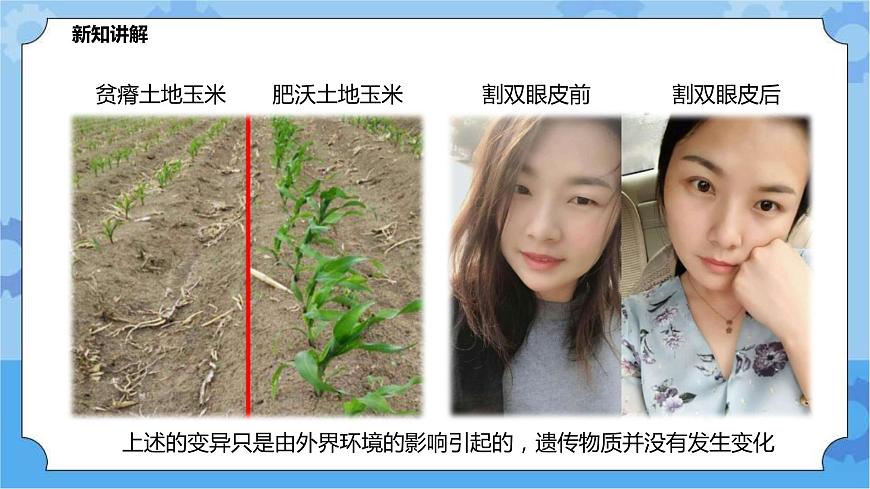 華師大九年級(jí)科學(xué)下冊(cè)第5章第2節(jié)生物的變異 第1課時(shí) 課件第7頁(yè)