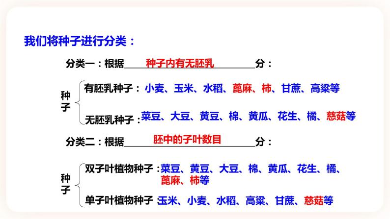 1.4植物的一生（第1课时）(课件+练习+精美音视频）07