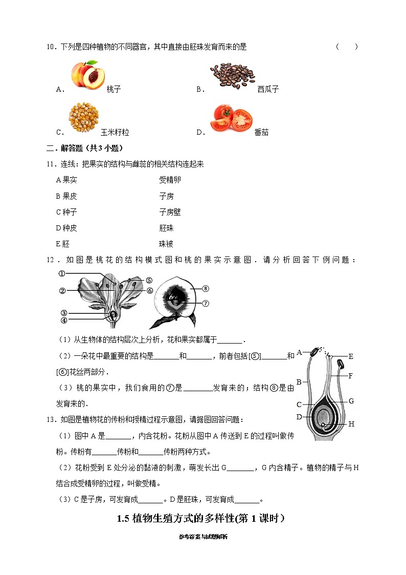 1.5植物生殖方式的多樣性(第1課時(shí)）第2頁(yè)