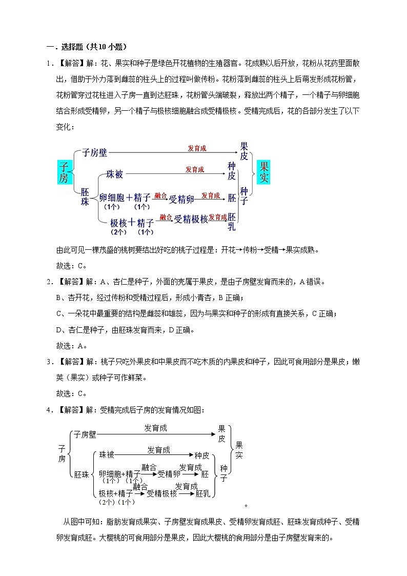 1.5植物生殖方式的多样性(第1课时)第3页