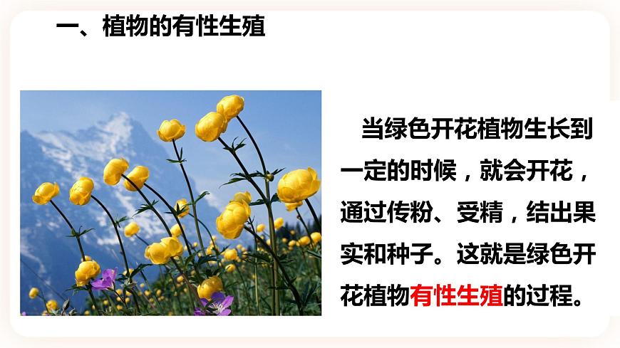 1.5植物生殖方式的多樣性(第1課時(shí)）第5頁(yè)