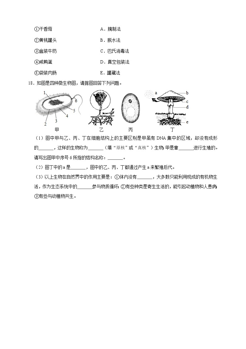 1.6细菌和真菌的繁殖(课件+练习+精美音视频）03