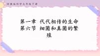 浙教版七年級下冊第6節(jié) 細菌和真菌的繁殖優(yōu)秀ppt課件