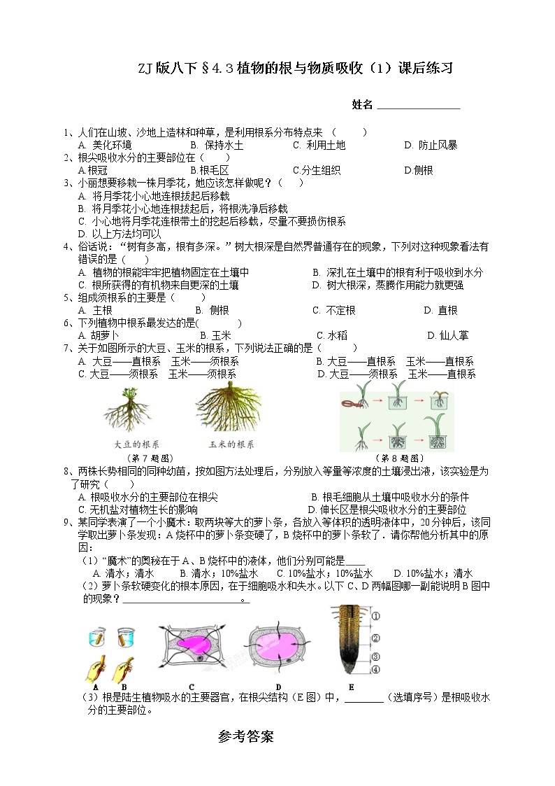 八下科学 4.3植物的根与物质吸收 第1课时 课件+练习+视频01