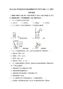 2022-2023学年浙江省宁波市海曙区兴宁中学九年级（上）期中科学试卷（附答案）