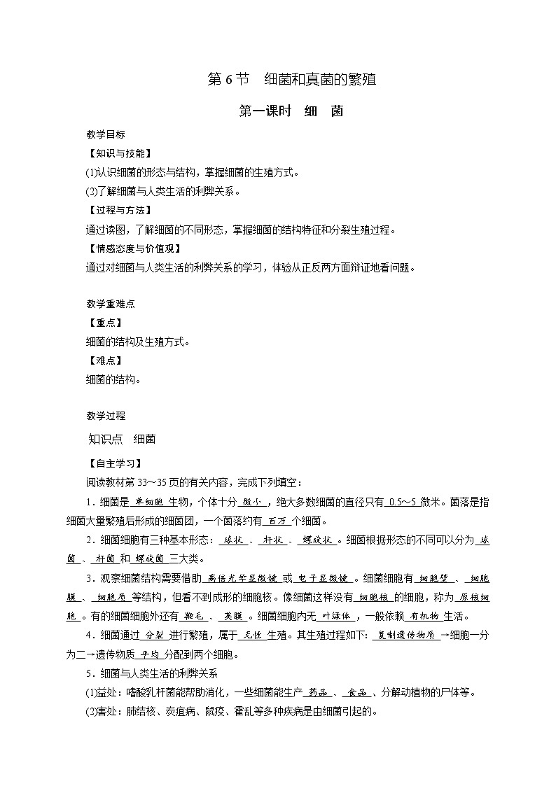第1章 第6节 细菌和真菌的繁殖第1课时第1页