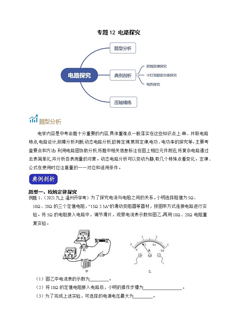 专题12 电路探究-【赢在中考】中考科学二轮复习压轴题(浙江专用)01