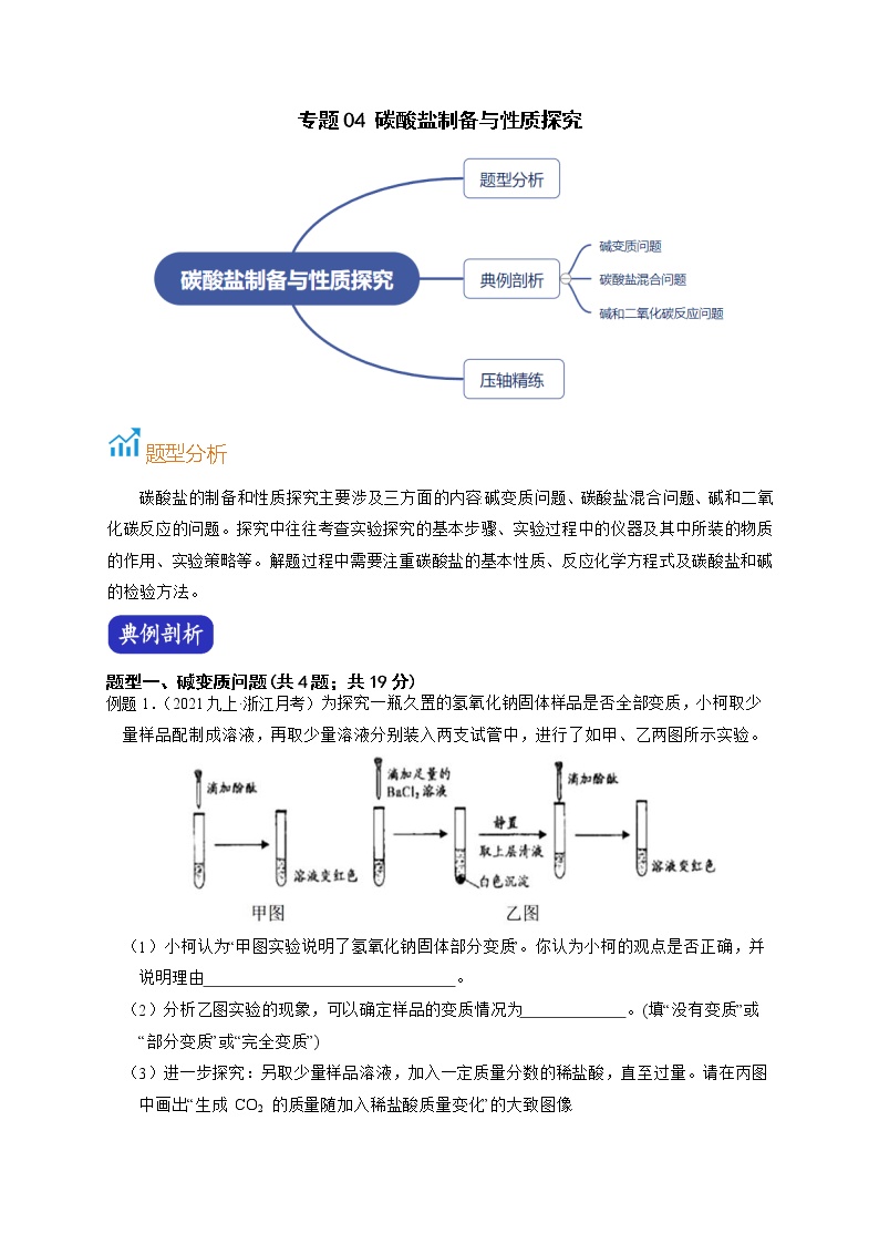 专题04 碳酸盐制备与性质探究-【赢在中考】中考科学二轮复习压轴题（浙江专用）