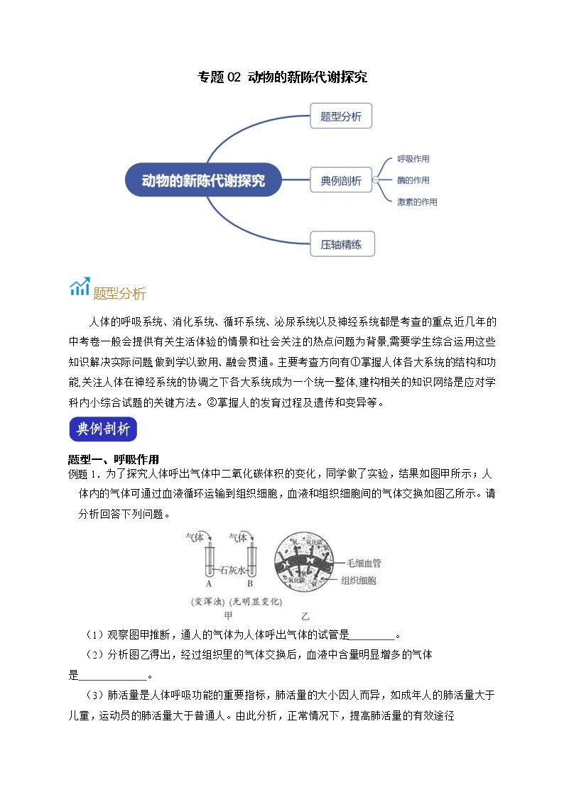 专题02 动物的新陈代谢探究-【赢在中考】中考科学二轮复习压轴题（浙江专用）01