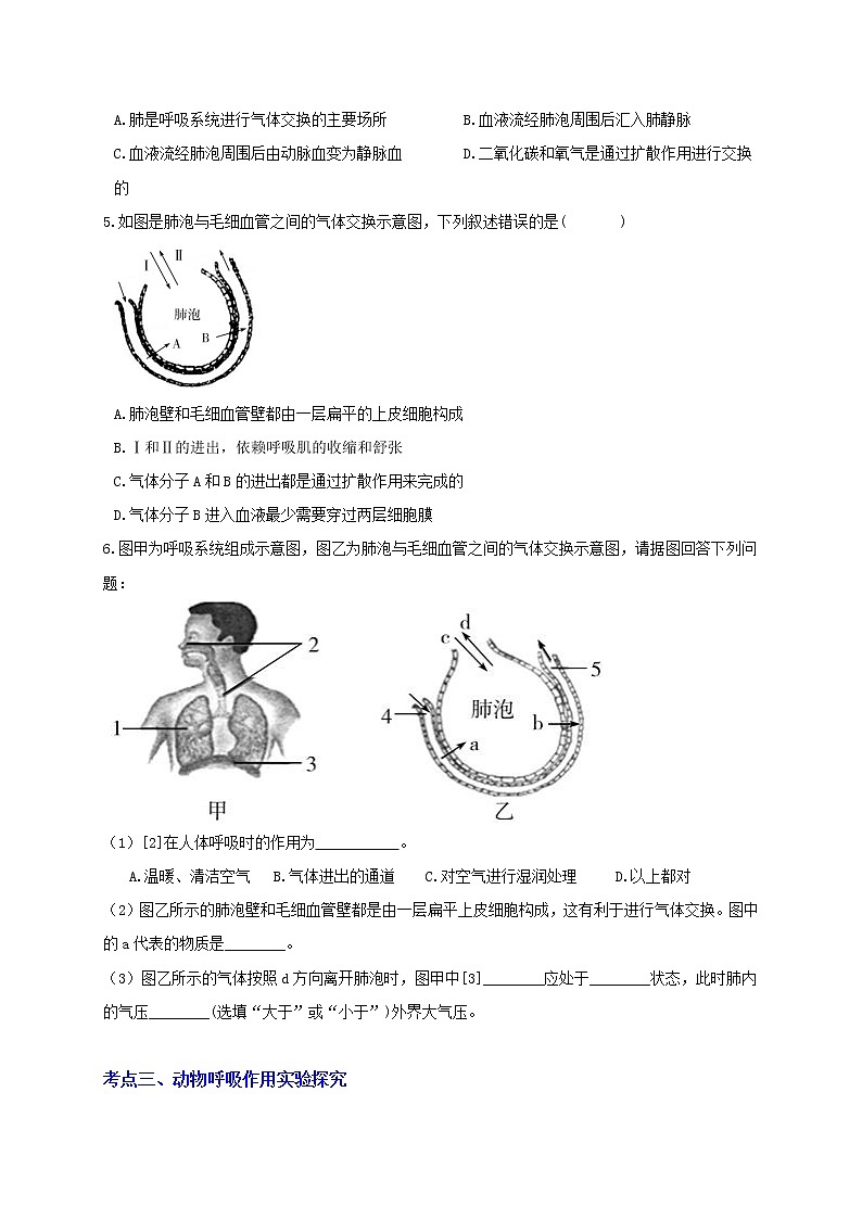 八下尖子生培優(yōu) 八下3.5 生物的呼吸和呼吸作用（原題）第3頁