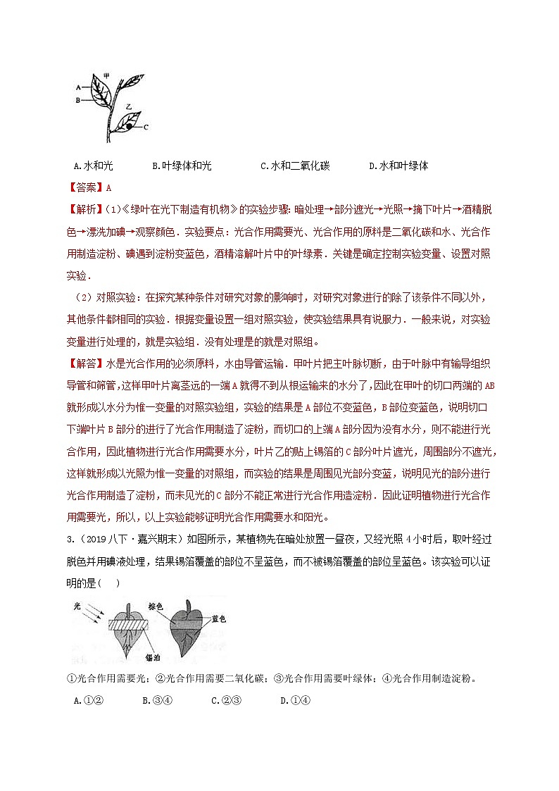 八下尖子生培優(yōu) 八下3.6 光合作用(解析)第2頁