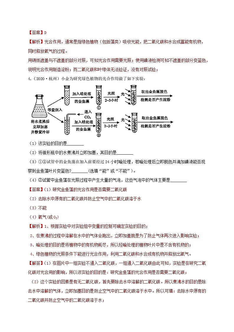 八下尖子生培優(yōu) 八下3.6 光合作用(解析)第3頁