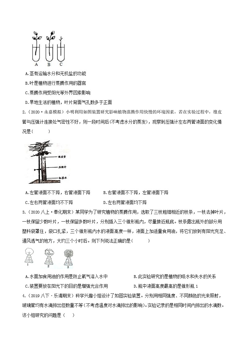 八下尖子生培優(yōu) 4.5 植物的葉與蒸騰作用（原題）第3頁(yè)