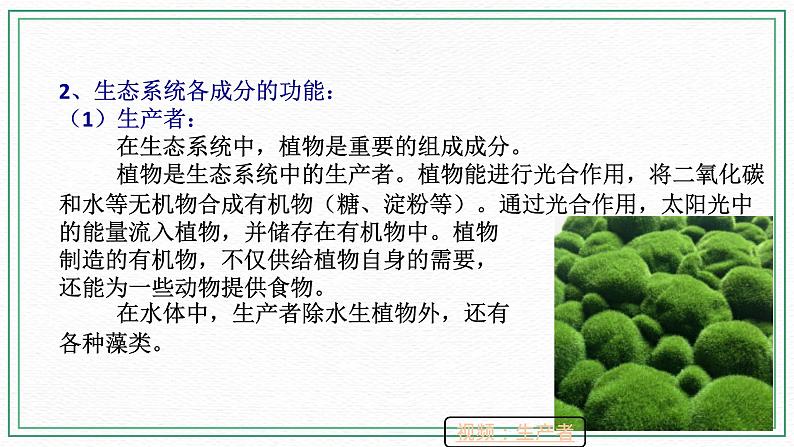 HS版七下5.2生态系统(2)第6页