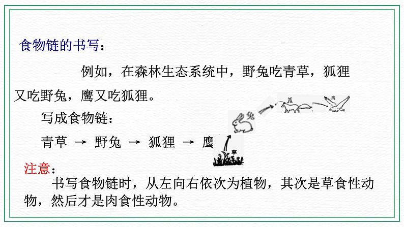 七下科学5.2生态系统 第3课时(课件 +视频+练习)05
