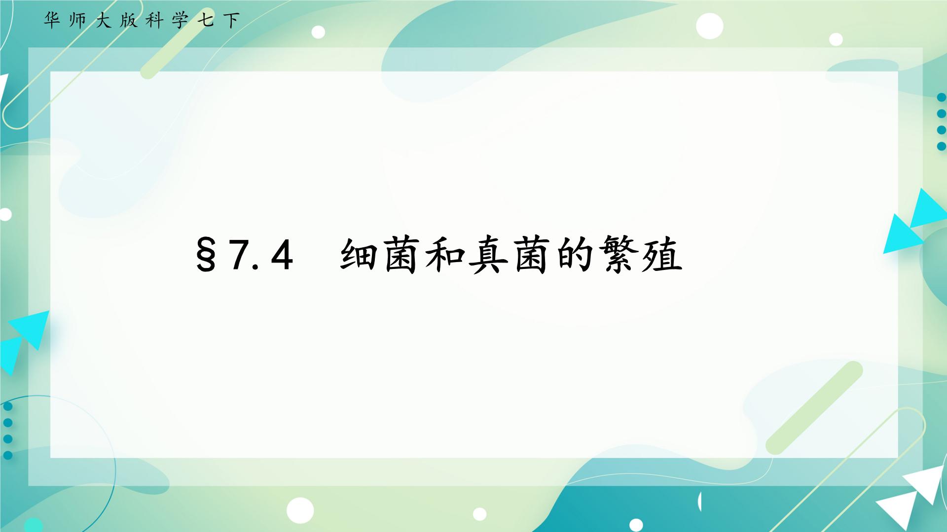 初中科学华师大版七年级下册4 细菌和真菌的繁殖精品ppt课件