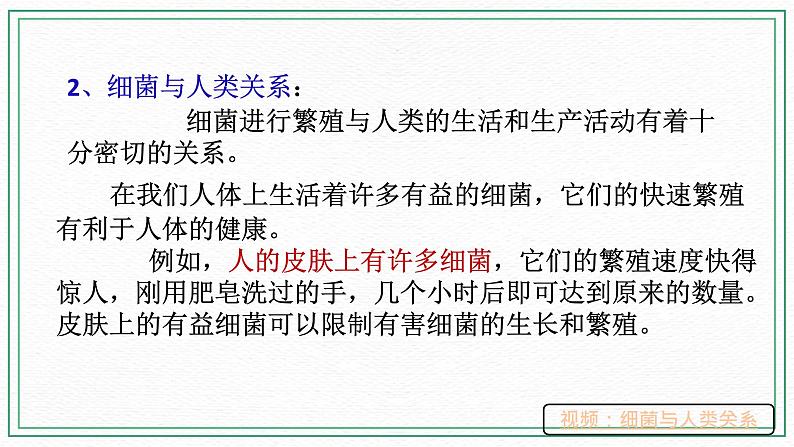 七下科学 7.4细菌和真菌的繁殖(课件+视频+练习)05