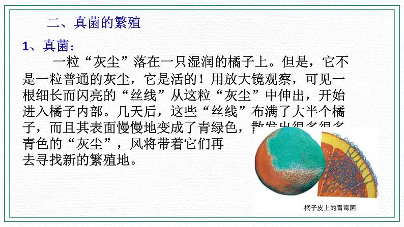 七下科学 7.4细菌和真菌的繁殖(课件+视频+练习)08