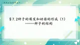 七下科学7.2种子的萌发和幼苗形成 第1课时 （课件+视频+练习）