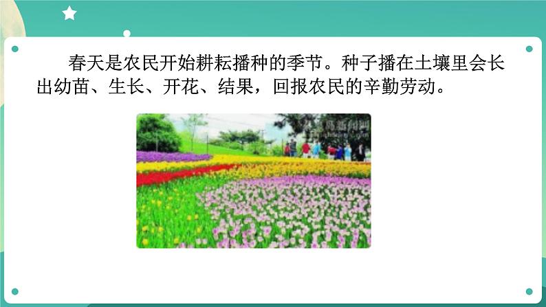 ZJ版科学七下1.4植物的一生(1)第2页