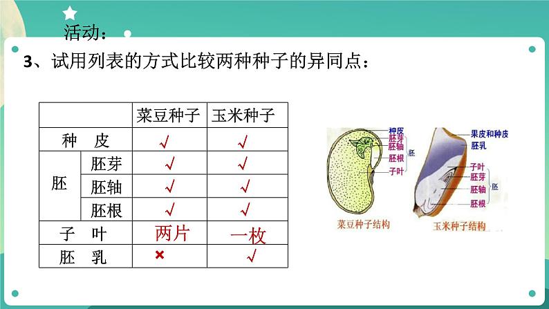 ZJ版科学七下1.4植物的一生(1)第8页