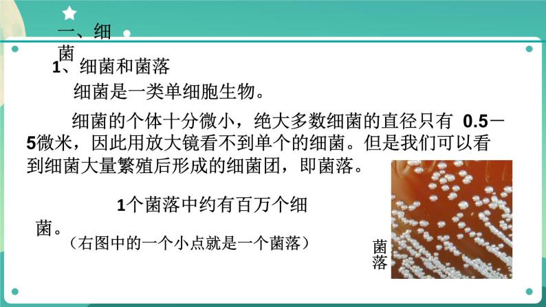 1.6细菌和真菌的繁殖 第1课时 课件+教案+学案04