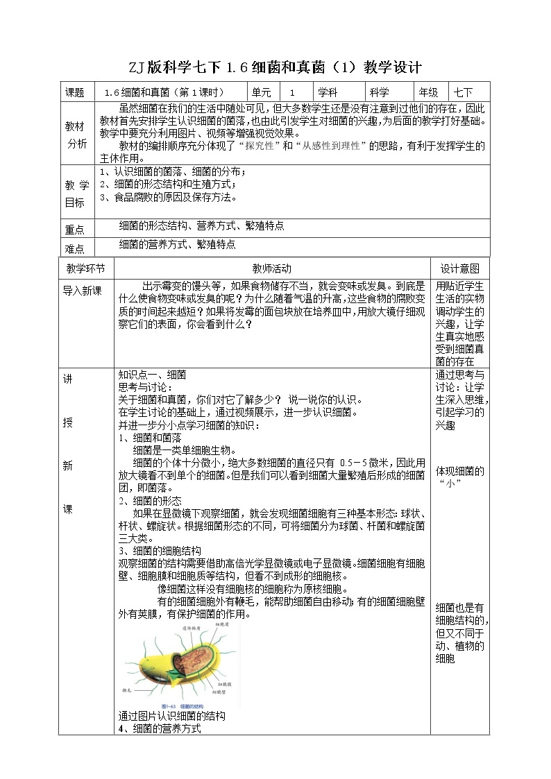 1.6细菌和真菌的繁殖 第1课时 课件+教案+学案01