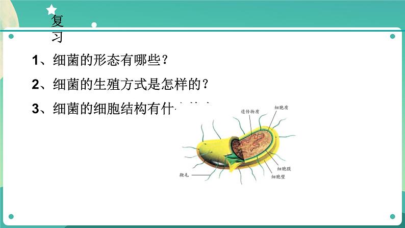 ZJ版科学七下1.6细菌和真菌的繁殖(2)第2页