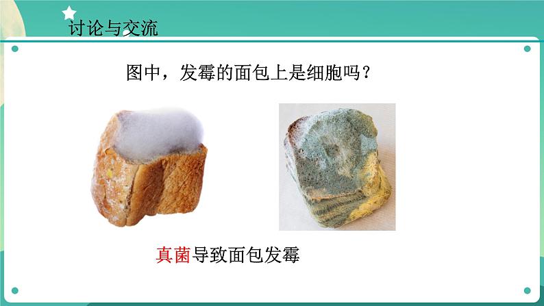 ZJ版科学七下1.6细菌和真菌的繁殖(2)第3页