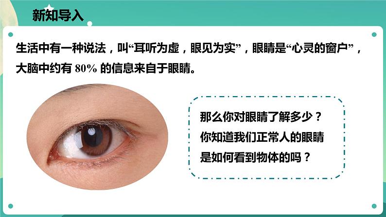 2.6透镜和视觉 第3课时 课件+教案+学案02