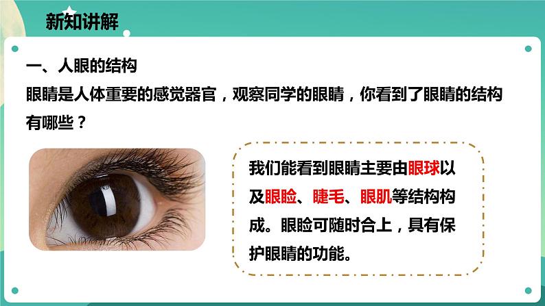 2.6透镜和视觉 第3课时 课件+教案+学案03